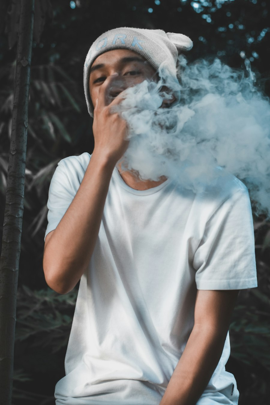 vape mod